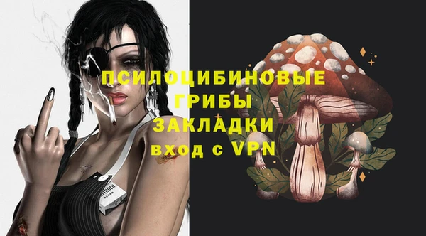 соль ск Ростов