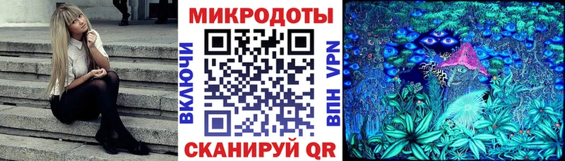 Галлюциногенные грибы GOLDEN TEACHER  где можно купить наркотик  Анадырь 